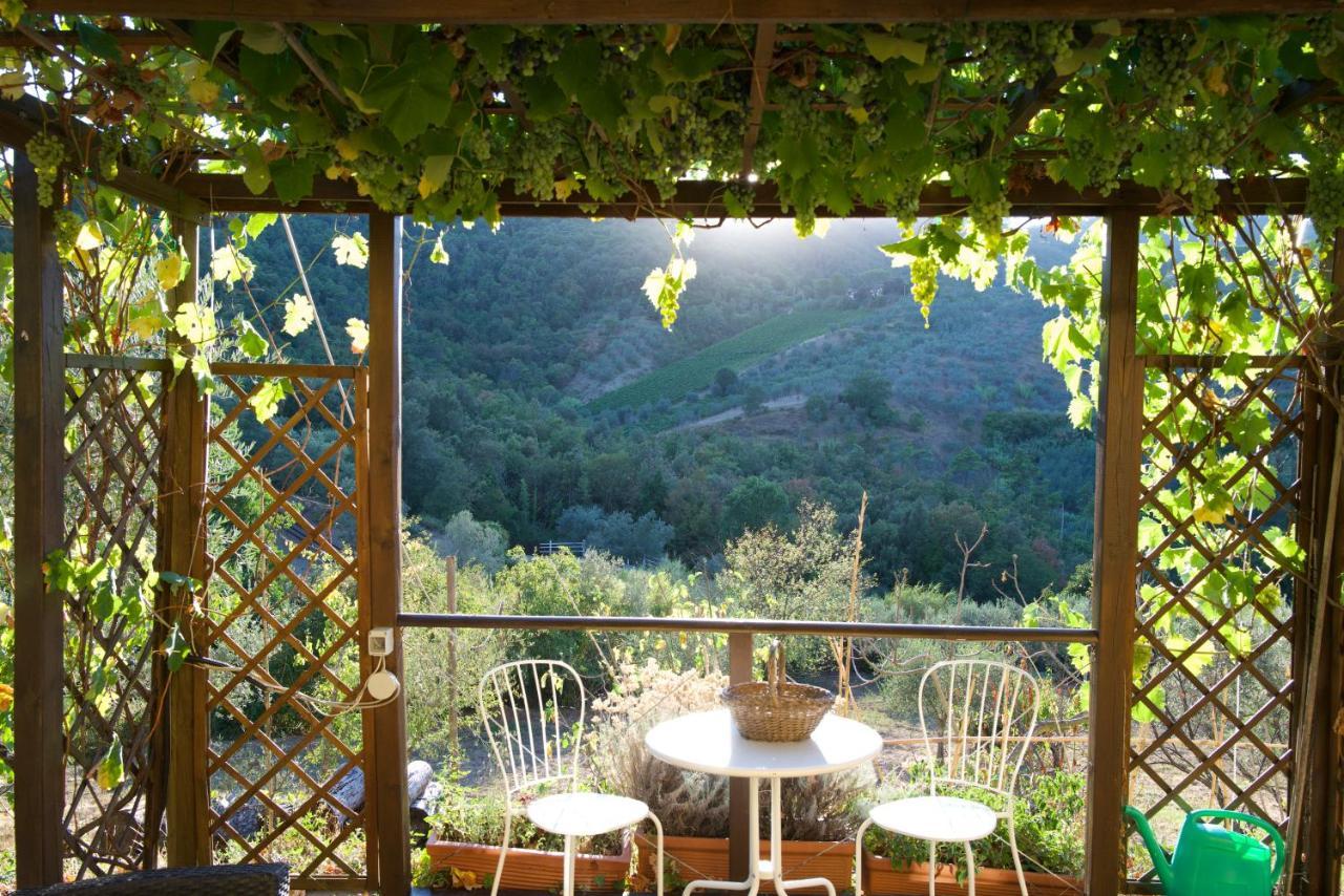 Barco Mediceo B&B In Toscana カルミニャーノ エクステリア 写真